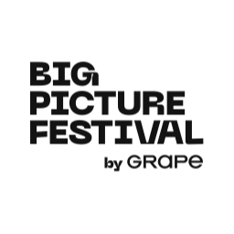 Big Picture Festival